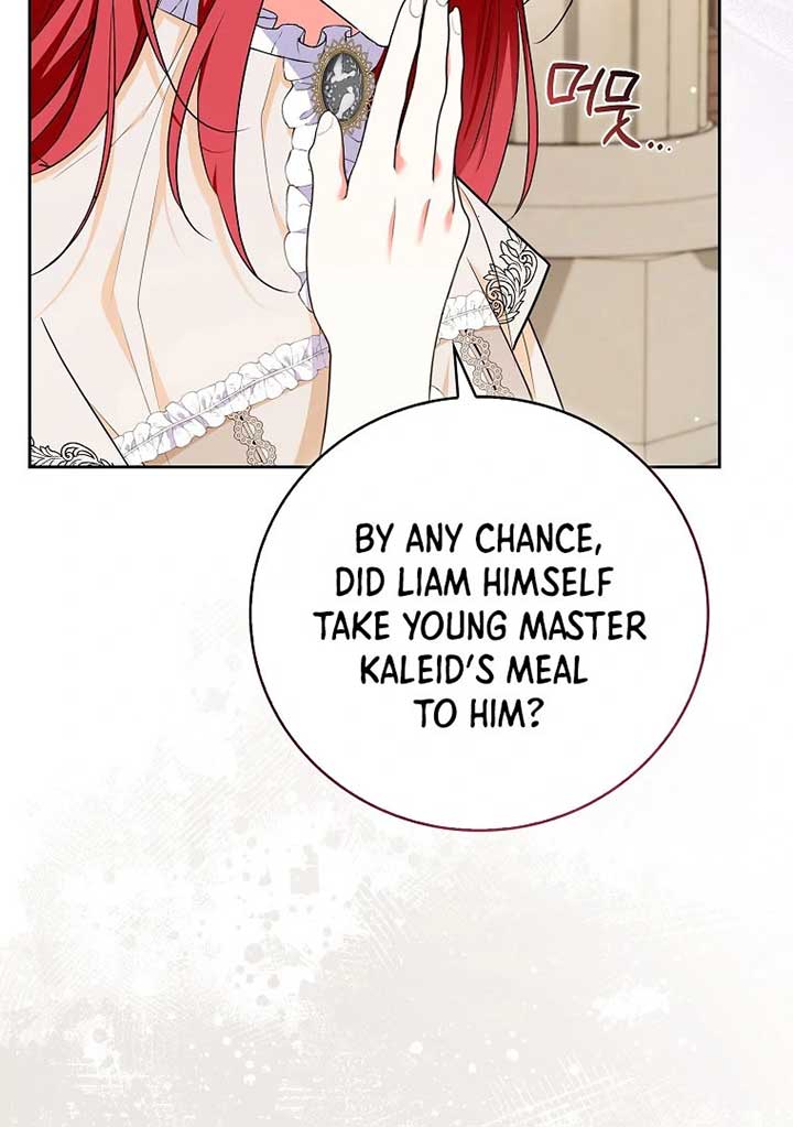 I Became The Male Leads’ Target Chapter 20 page 45