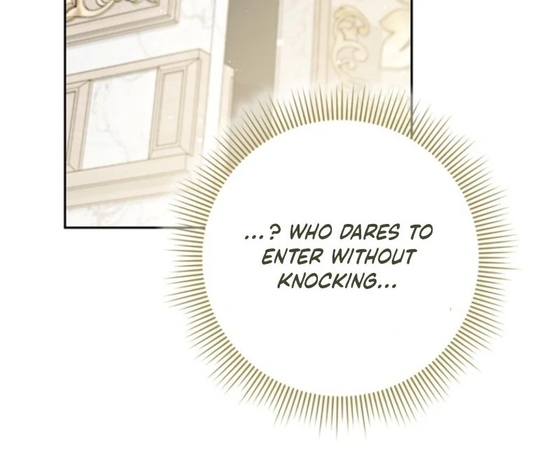 I Became The Male Leads’ Target Chapter 21 page 105