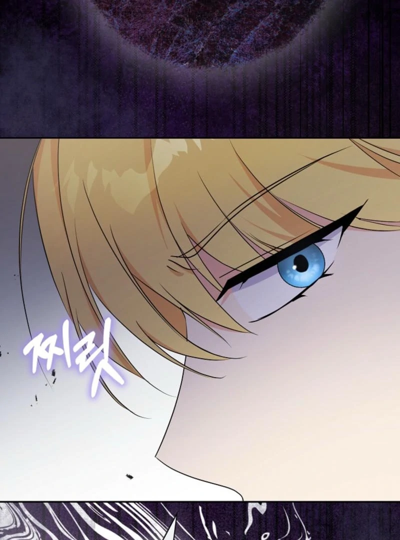 I Became The Male Leads’ Target Chapter 22 page 105