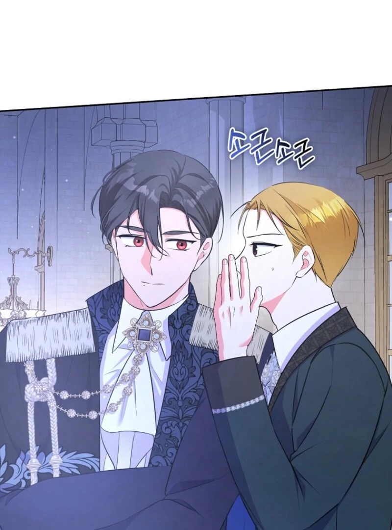 I Became The Male Leads’ Target Chapter 27 page 29