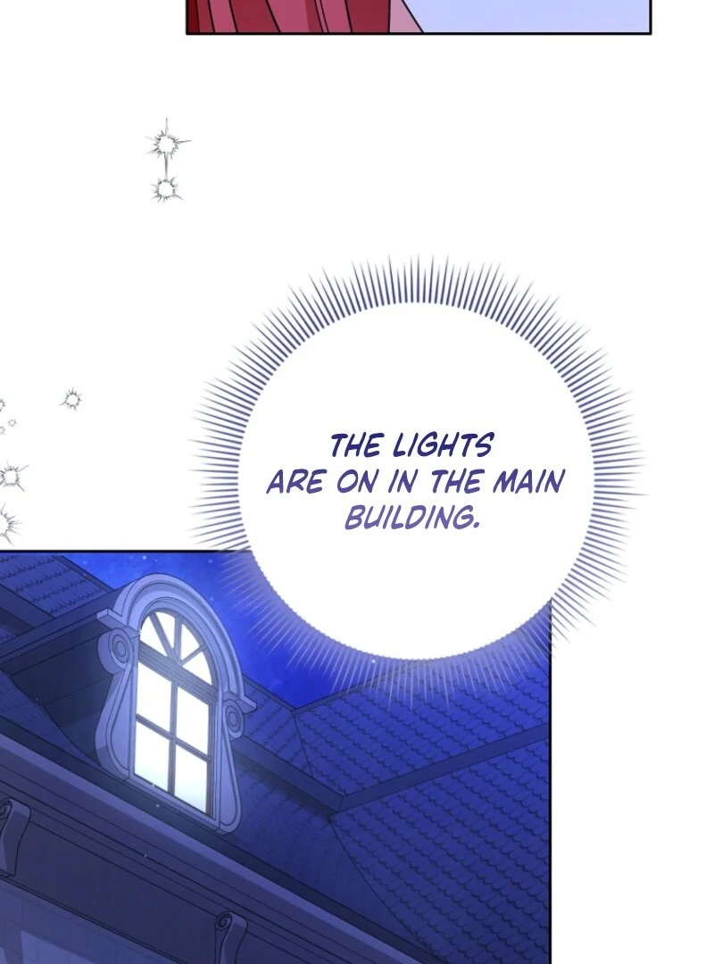 I Became The Male Leads’ Target Chapter 27 page 103