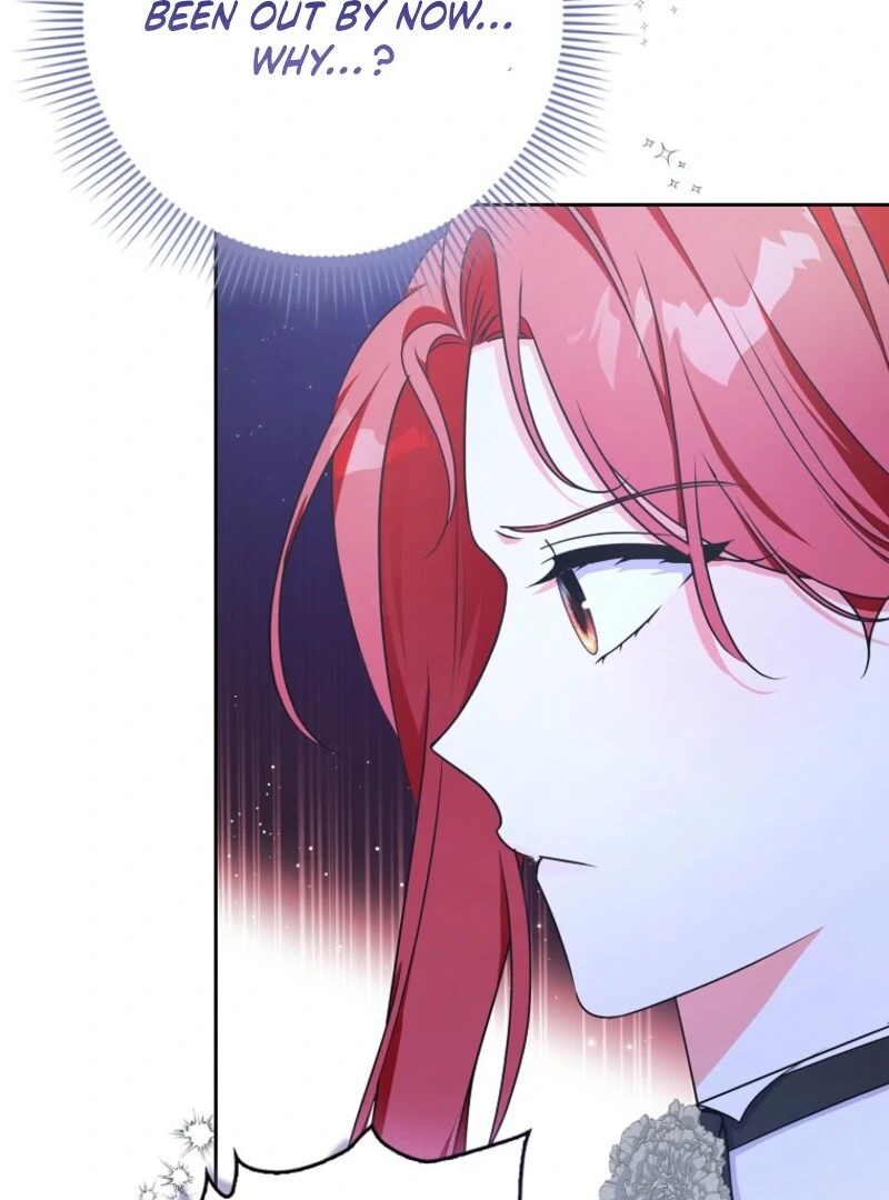 I Became The Male Leads’ Target Chapter 27 page 105