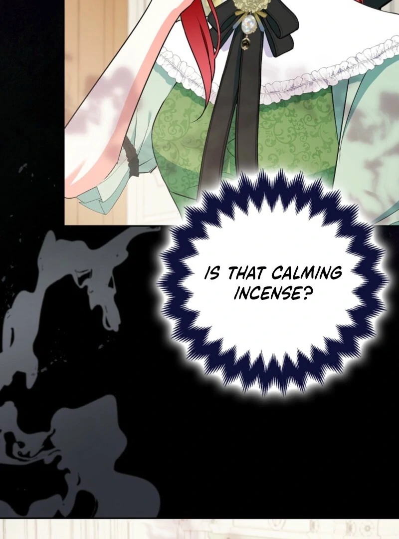I Became The Male Leads’ Target Chapter 28 page 13