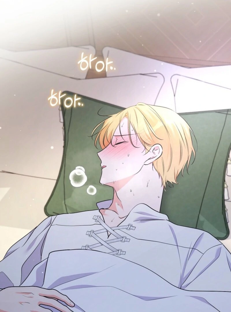 I Became The Male Leads’ Target Chapter 28 page 18