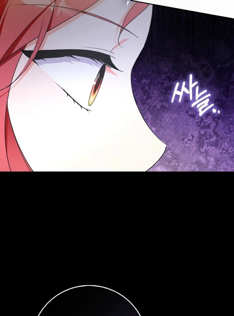 I Became The Male Leads’ Target Chapter 28 page 27