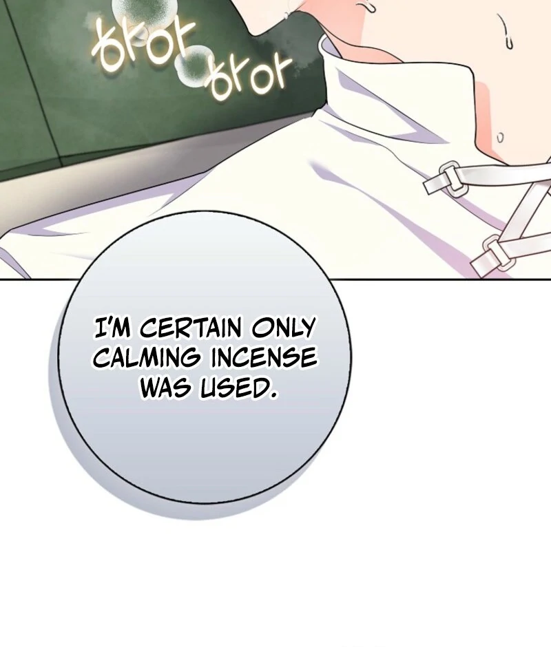 I Became The Male Leads’ Target Chapter 28 page 43