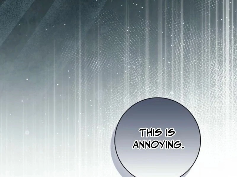 I Became The Male Leads’ Target Chapter 29 page 23