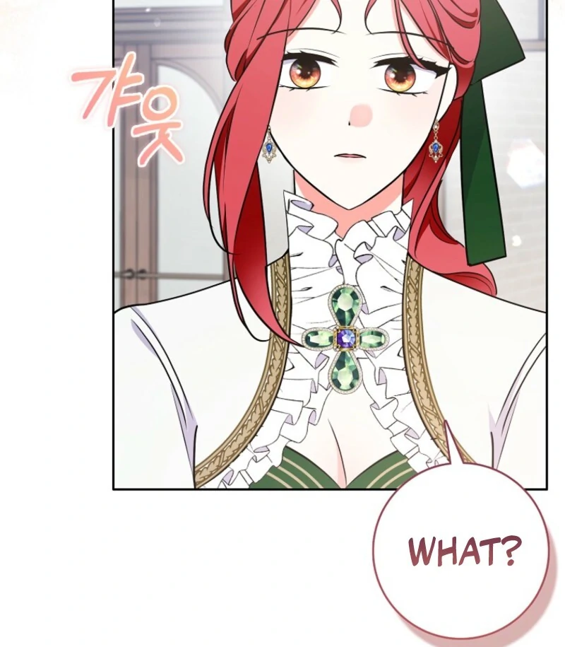 I Became The Male Leads’ Target Chapter 33 page 67