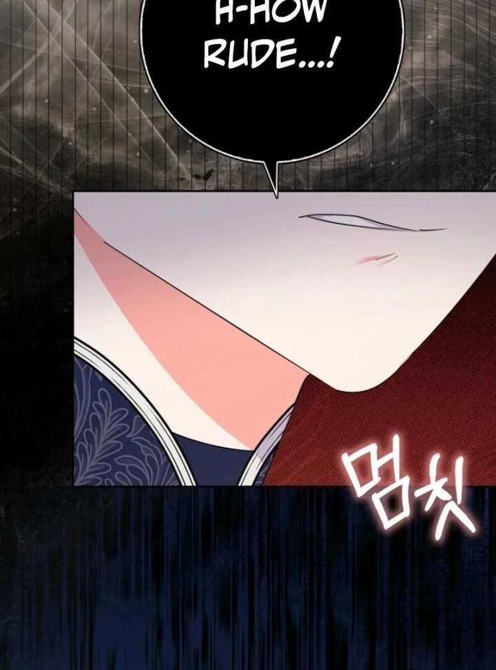 I Became The Male Leads’ Target Chapter 35 page 53
