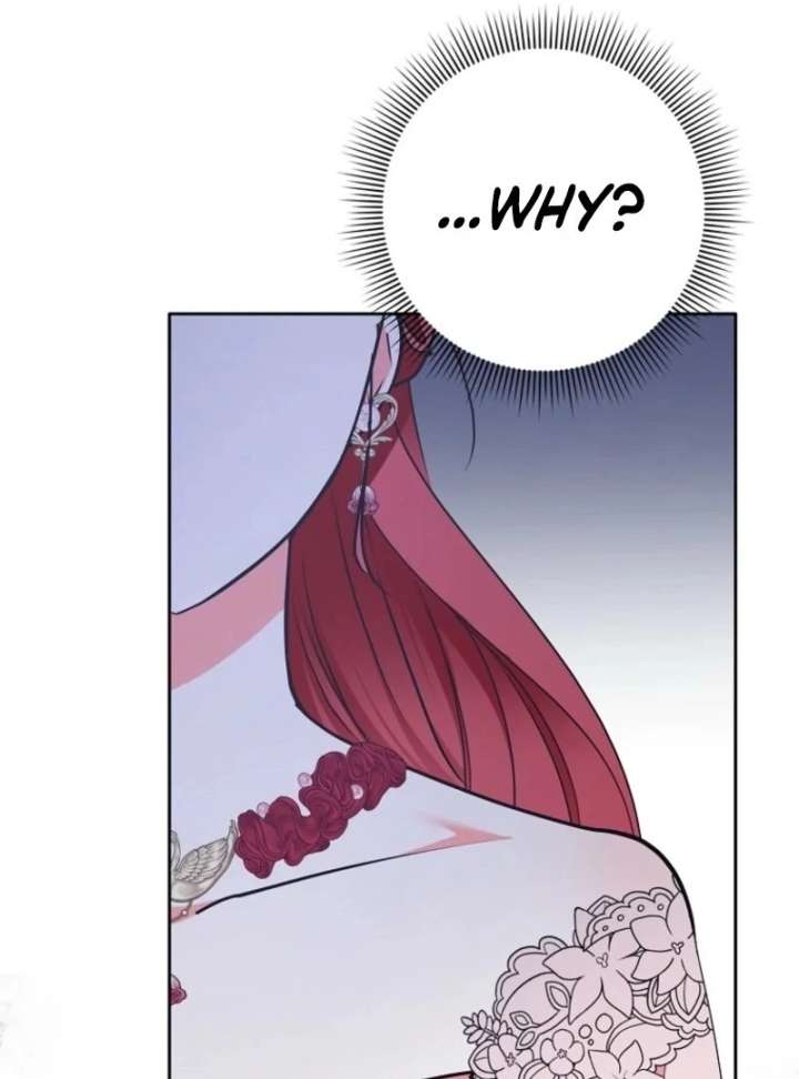 I Became The Male Leads’ Target Chapter 35 page 105
