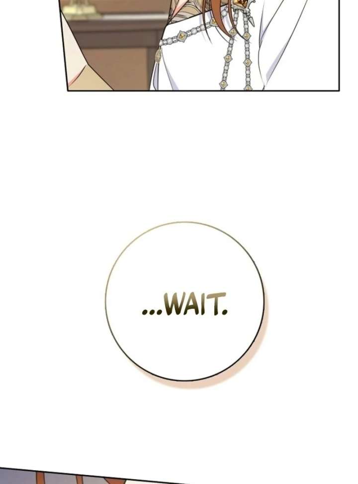 I Became The Male Leads’ Target Chapter 40 page 17