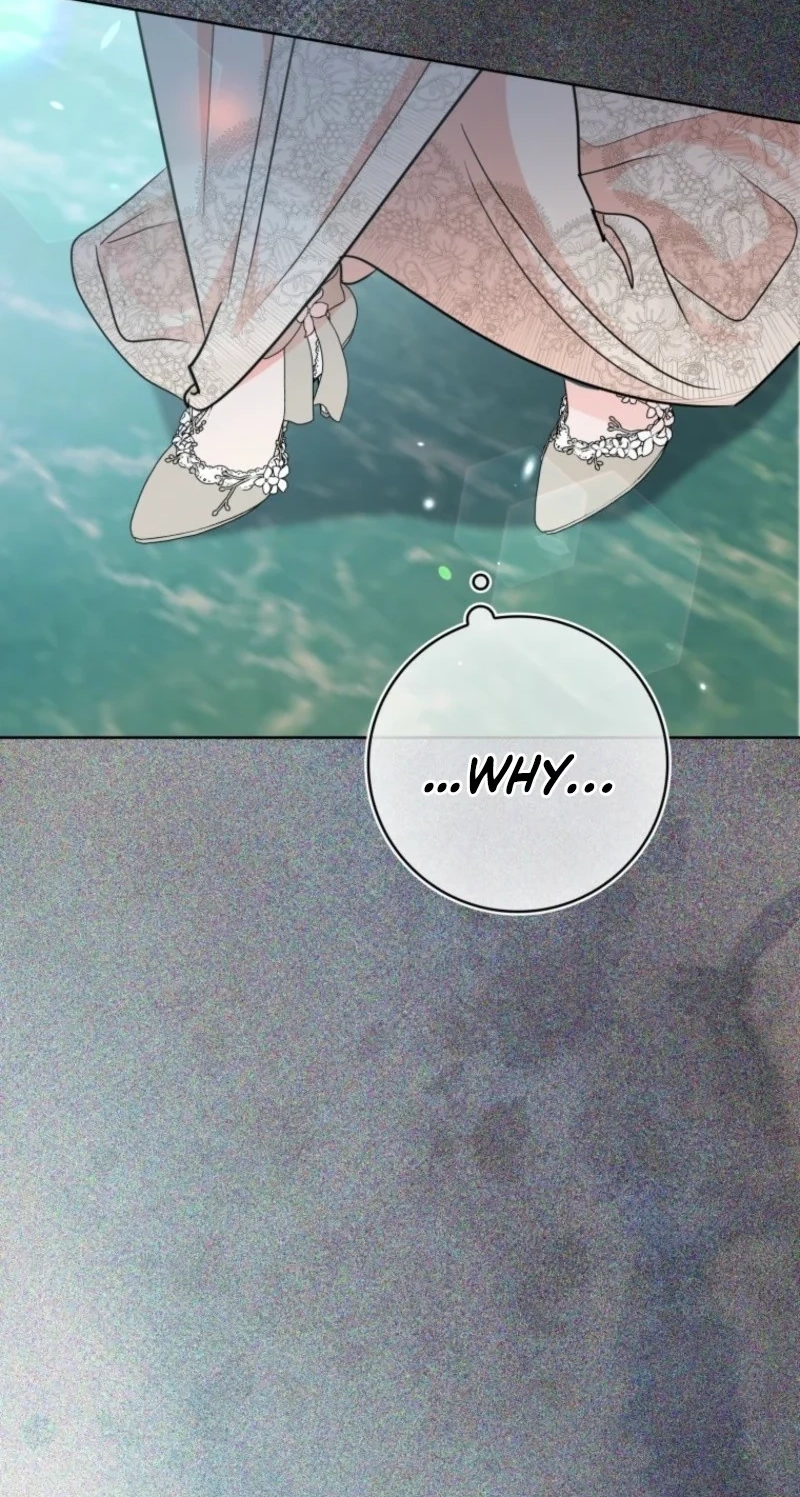 I Became The Male Leads’ Target Chapter 65 page 17