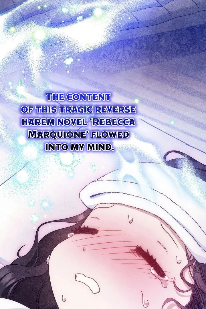 I Became The Youngest Sister-in-law Of The Male Leads In A Tragic Reverse Harem Chapter 0.1 page 43