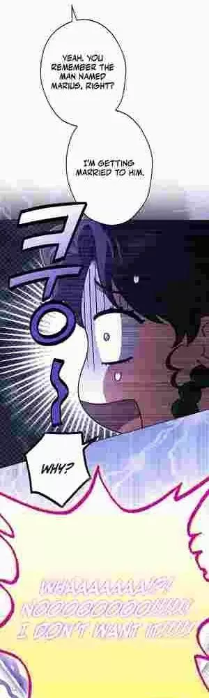 I Became The Youngest Sister-in-law Of The Male Leads In A Tragic Reverse Harem Chapter 13 page 49