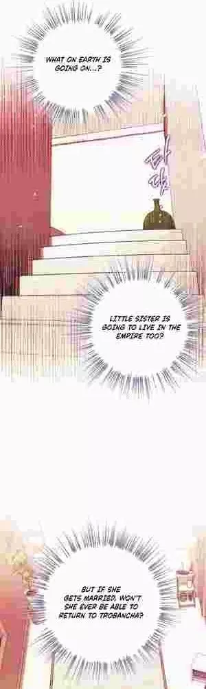 I Became The Youngest Sister-in-law Of The Male Leads In A Tragic Reverse Harem Chapter 17 page 19
