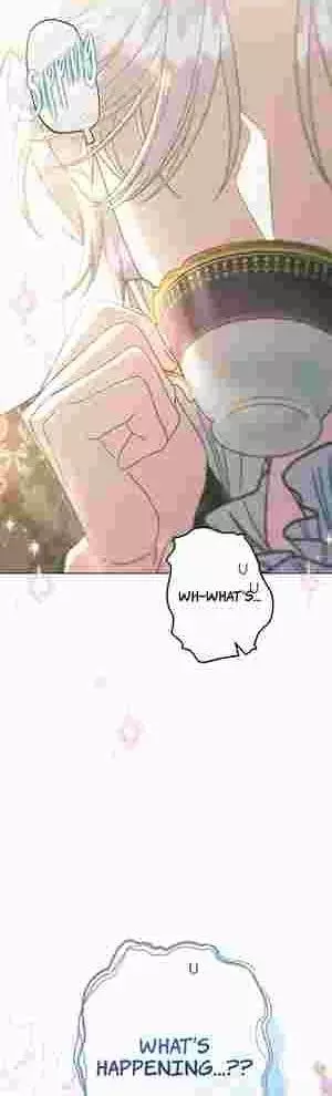 I Became The Youngest Sister-in-law Of The Male Leads In A Tragic Reverse Harem Chapter 19 page 57