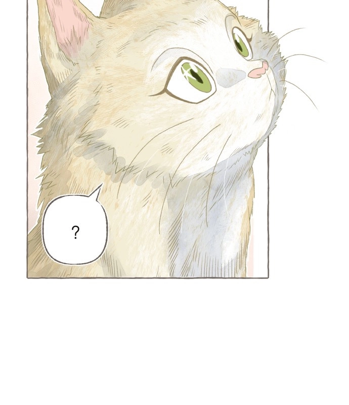 I catch you Chapter 9 page 14