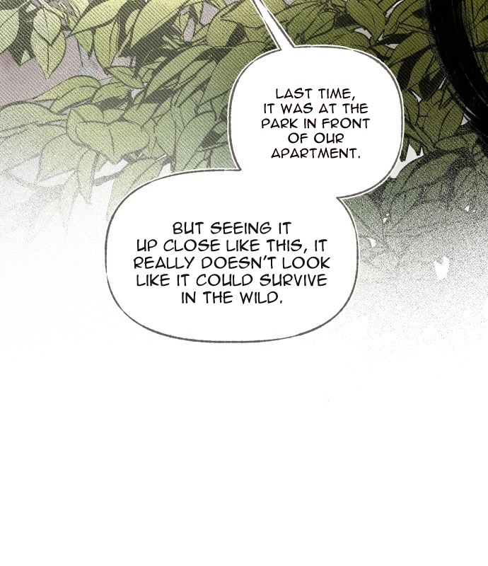 I catch you Chapter 9 page 8