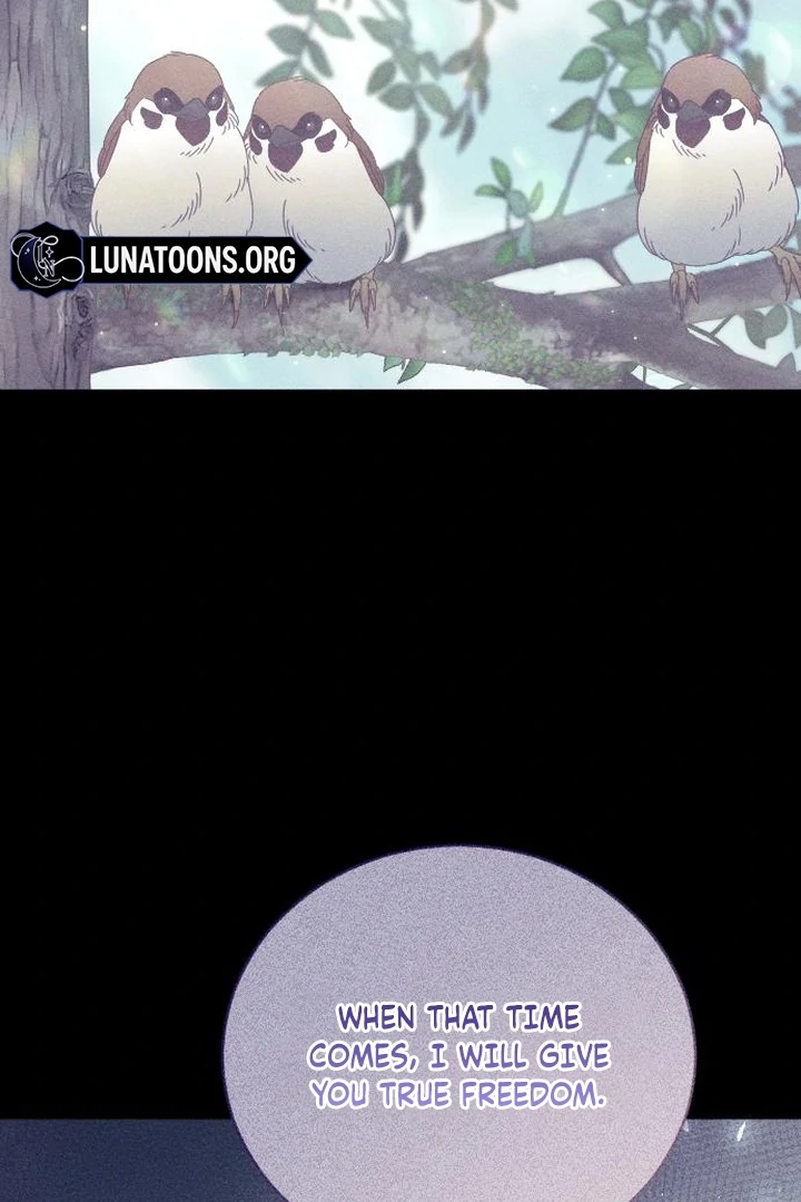 I dare to plead Chapter 9 page 104