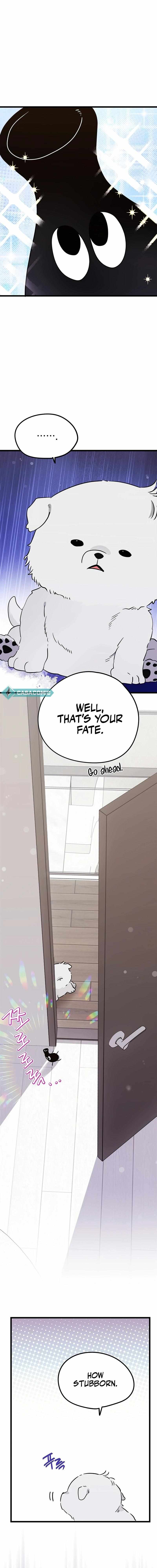 I Debuted as an Exorcist, Not an Idol Chapter 22 page 16