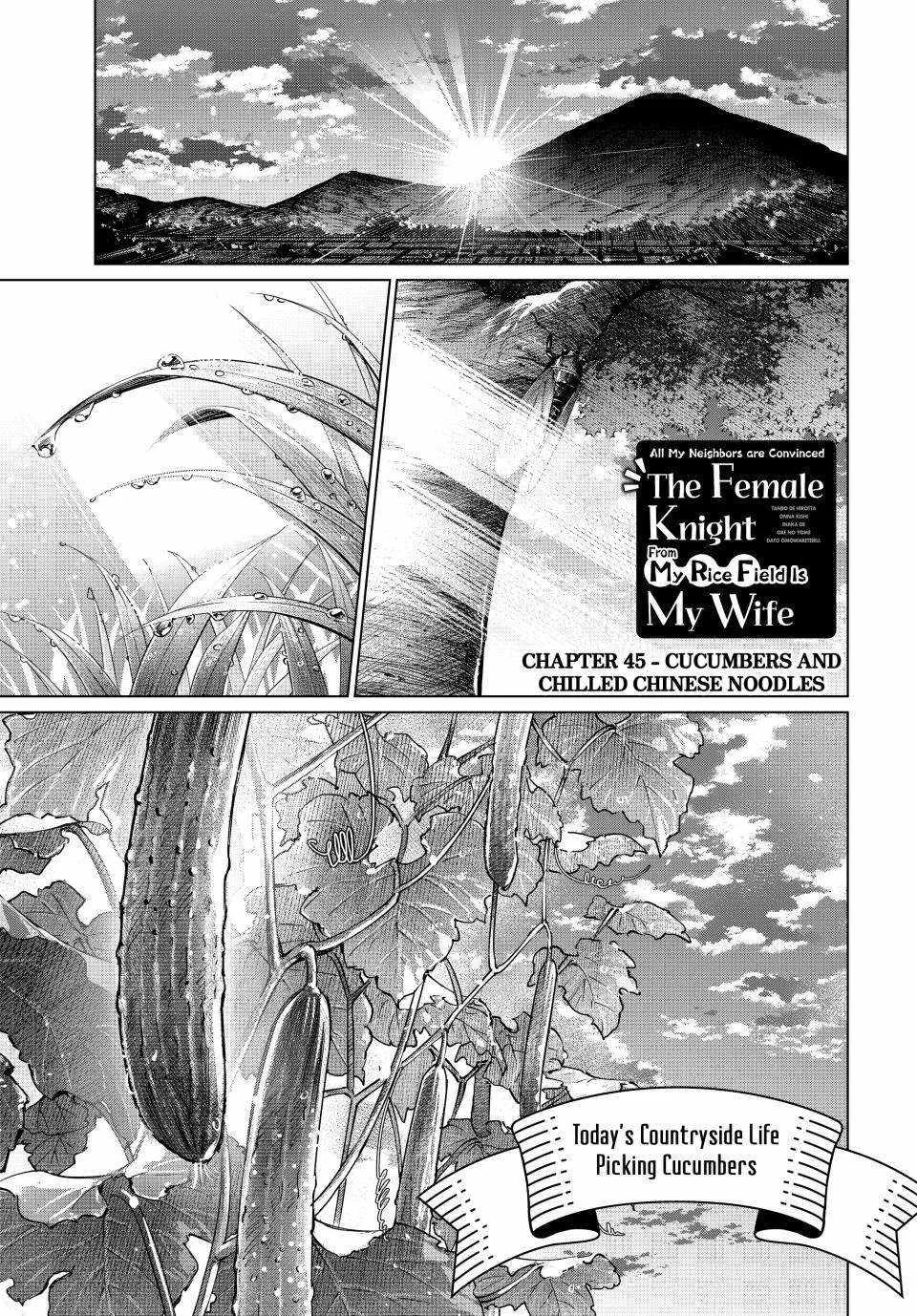 I Found a Female Knight in a Rice Field, in the Countryside They Think She’s My Wife Chapter 45 page 1
