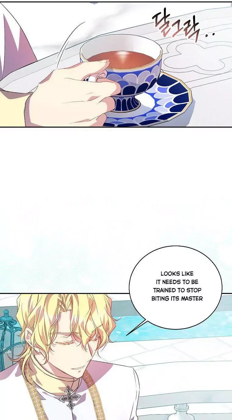 I'm a Fake Saintess but the Gods are Obsessed Chapter 14 page 37