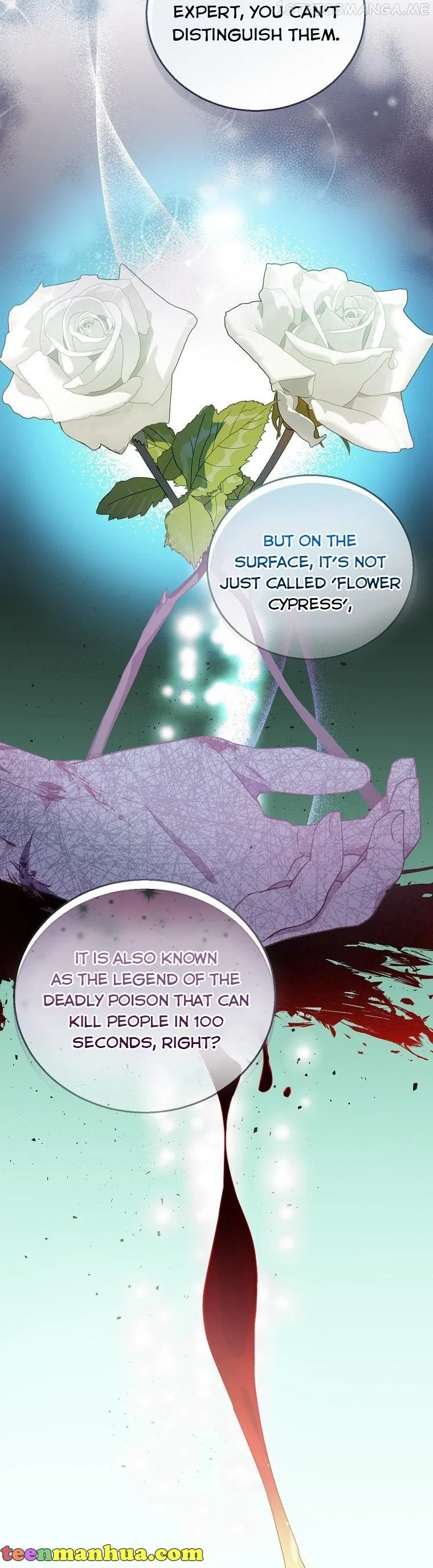 I'm a Fake Saintess but the Gods are Obsessed Chapter 34 page 25