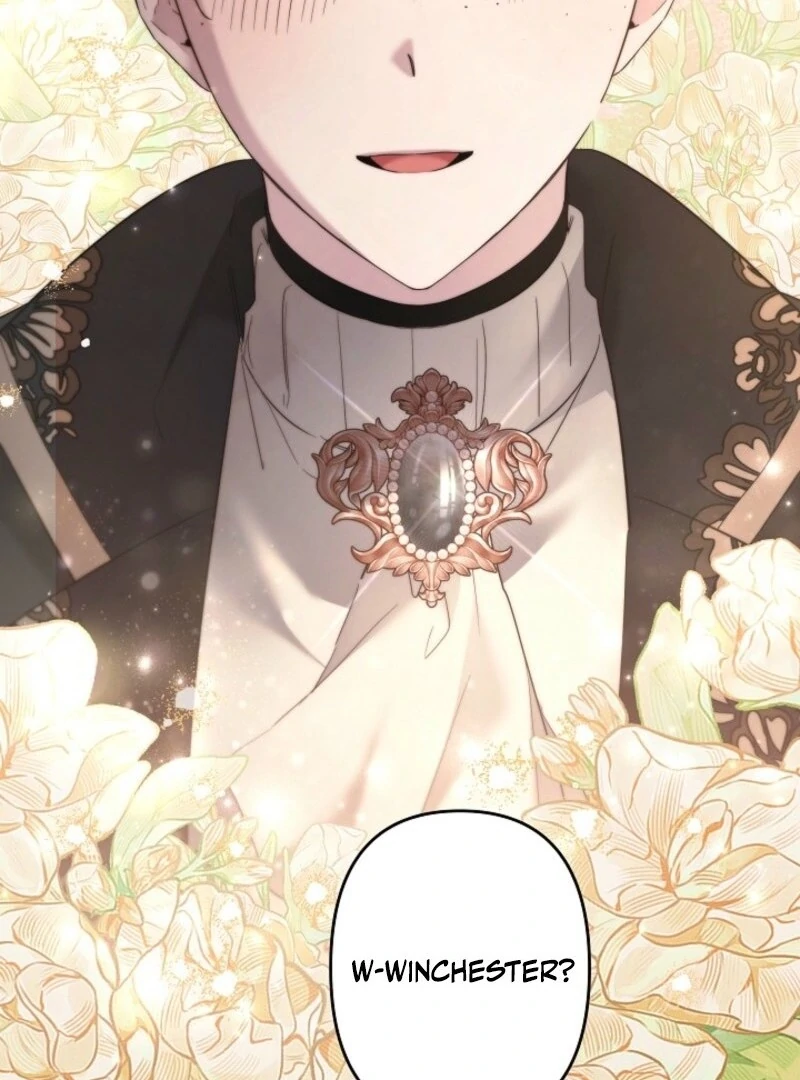 I Need to Raise My Sister Properly Chapter 108 page 46