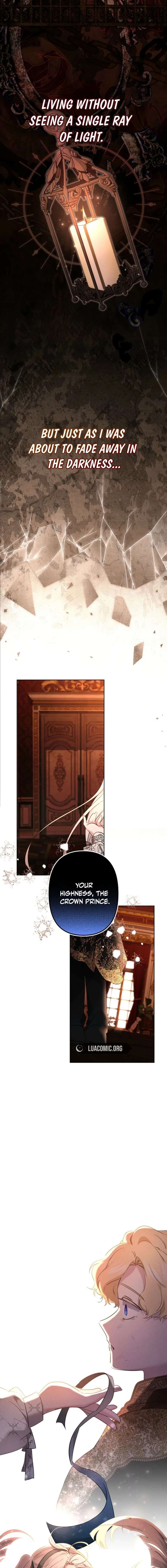 I Need to Raise My Sister Properly Chapter 141 page 3