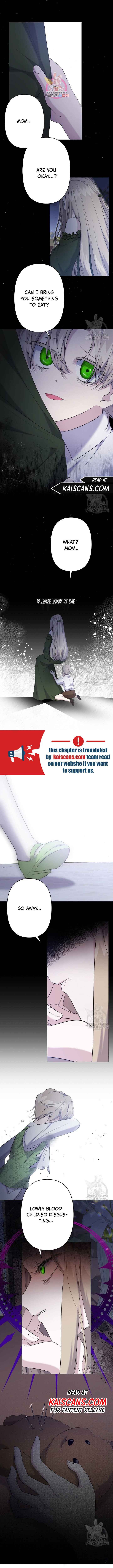 I Need to Raise My Sister Properly Chapter 17 page 2