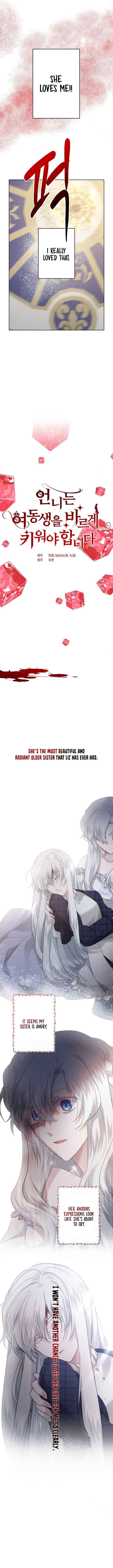 I Need to Raise My Sister Properly Chapter 26 page 6