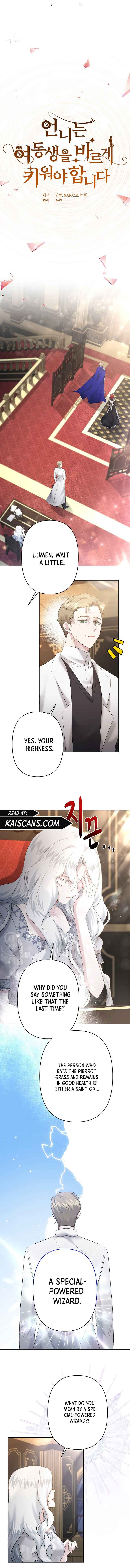 I Need to Raise My Sister Properly Chapter 27 page 6