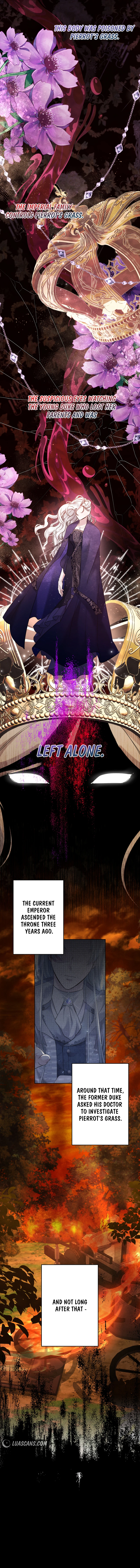I Need to Raise My Sister Properly Chapter 48 page 5