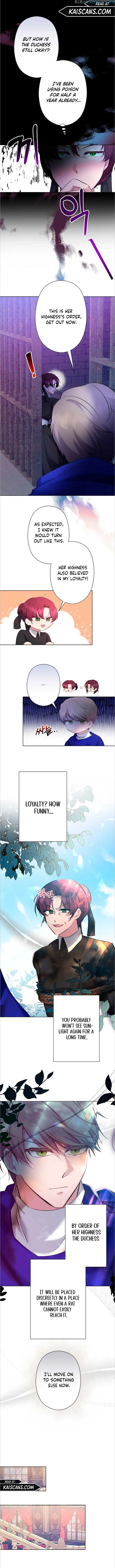 I Need to Raise My Sister Properly Chapter 5 page 10