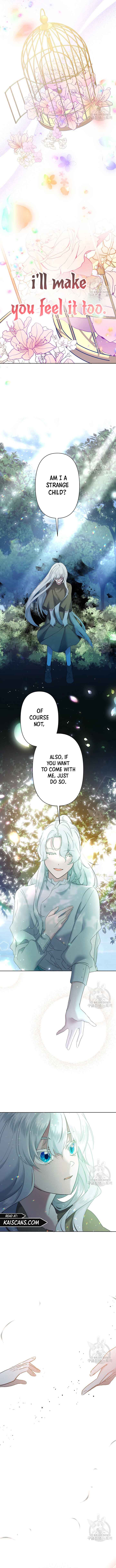 I Need to Raise My Sister Properly Chapter 8 page 11