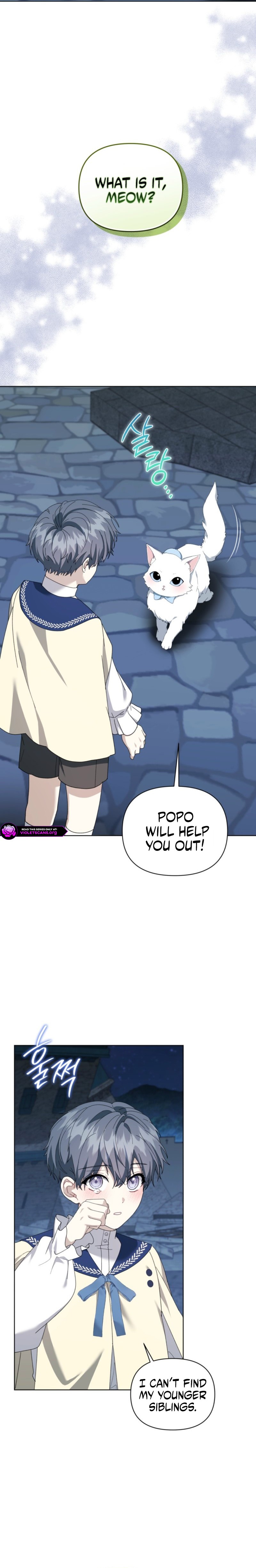 I Refuse the Male Leads’ Obsession After Resigning Chapter 26 page 17