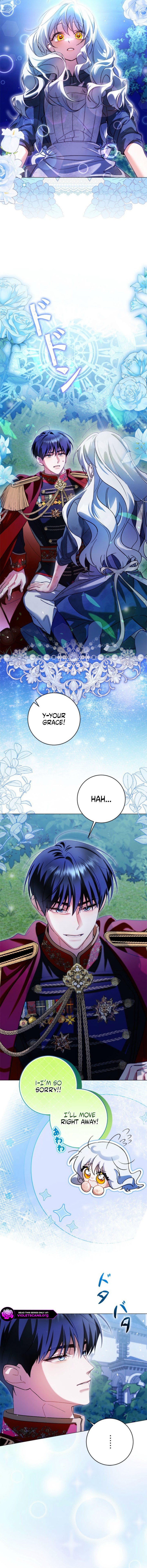 I Regressed, So I’ll Fake an Engagement with My Favorite Grand Duke Chapter 3 page 17