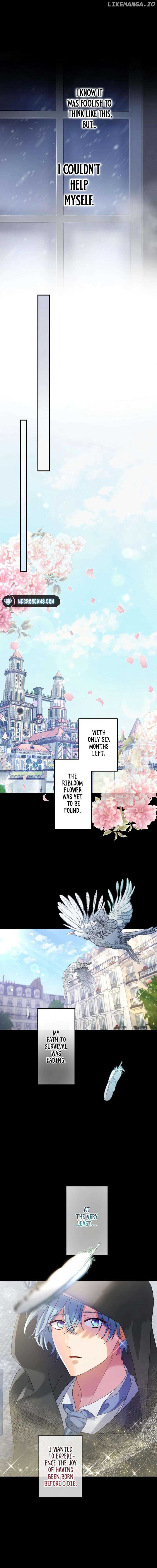 I Still Don’t Know About My Favourite Character’s Unwavering Obsession Chapter 10 page 13