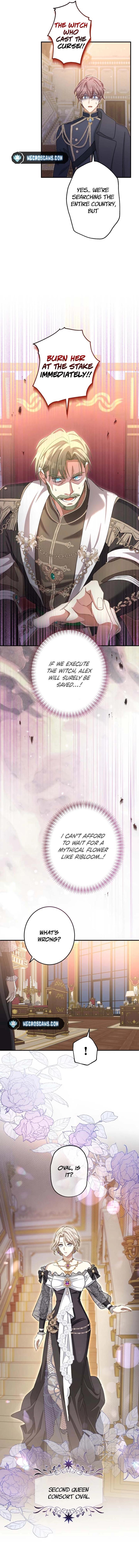 I Still Don’t Know About My Favourite Character’s Unwavering Obsession Chapter 19 page 16