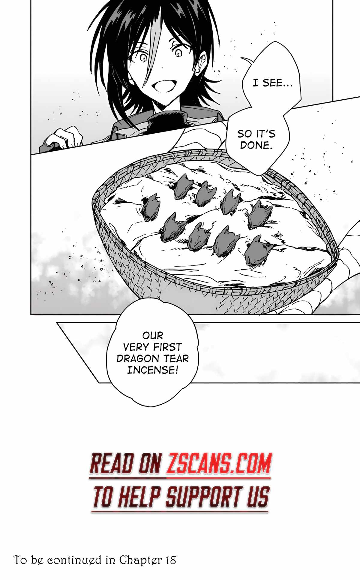 I've Been Kicked Out of an S-Rank Guild. But Only I Can Communicate With Dragons. Before I Knew It, I Became the Greatest Dragon Knight Chapter 17 page 27