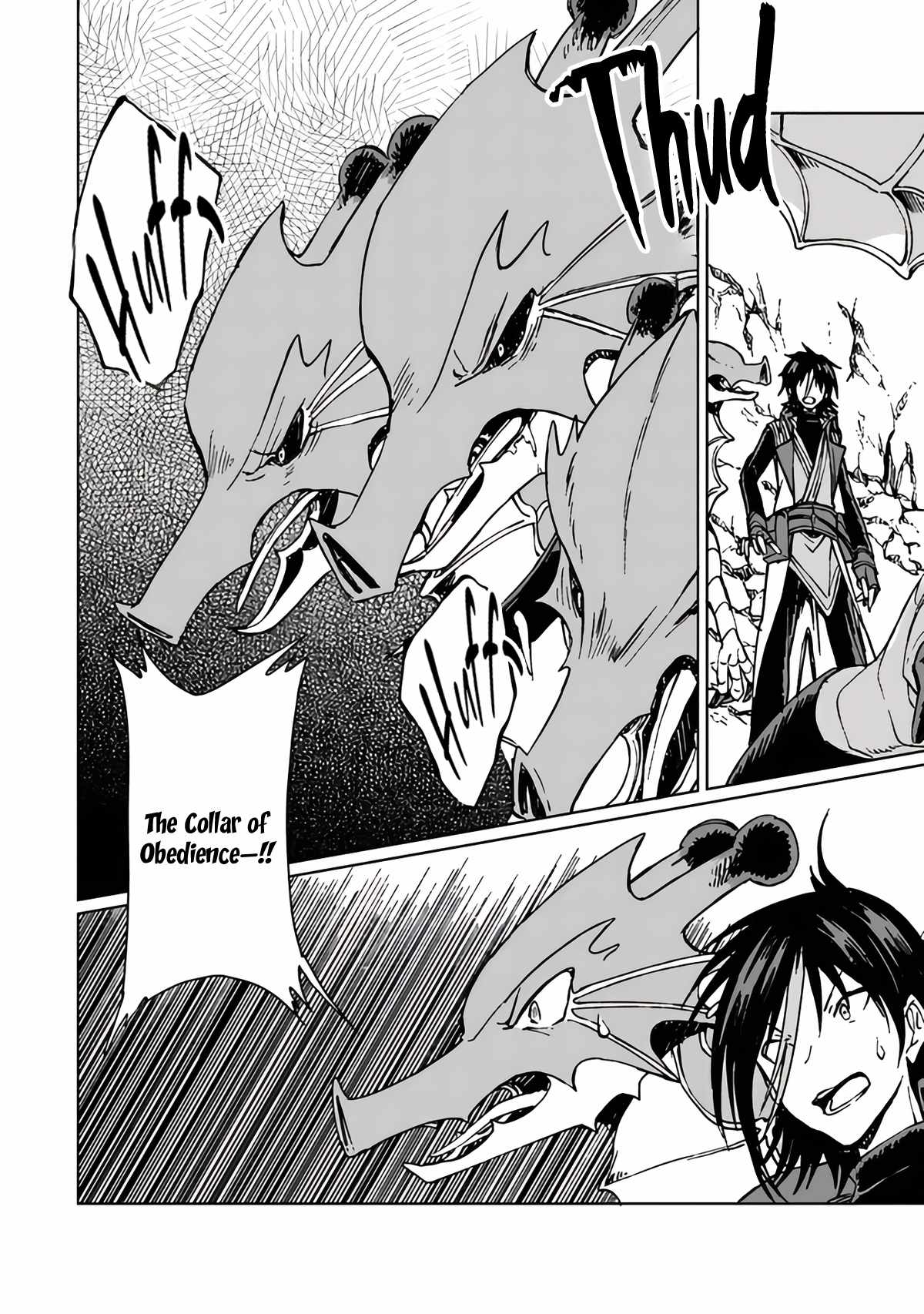 I've Been Kicked Out of an S-Rank Guild. But Only I Can Communicate With Dragons. Before I Knew It, I Became the Greatest Dragon Knight Chapter 20 page 16