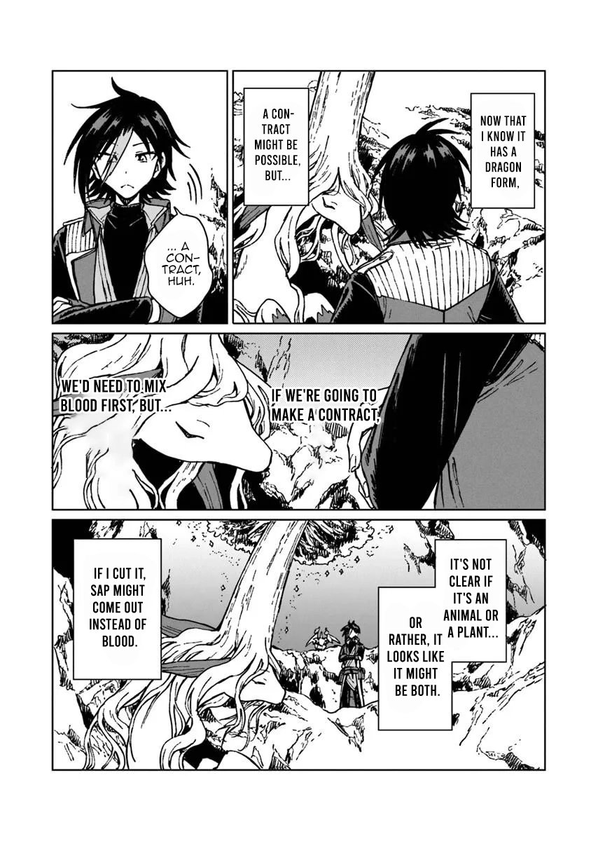 I've Been Kicked Out of an S-Rank Guild. But Only I Can Communicate With Dragons. Before I Knew It, I Became the Greatest Dragon Knight Chapter 43.1 page 15