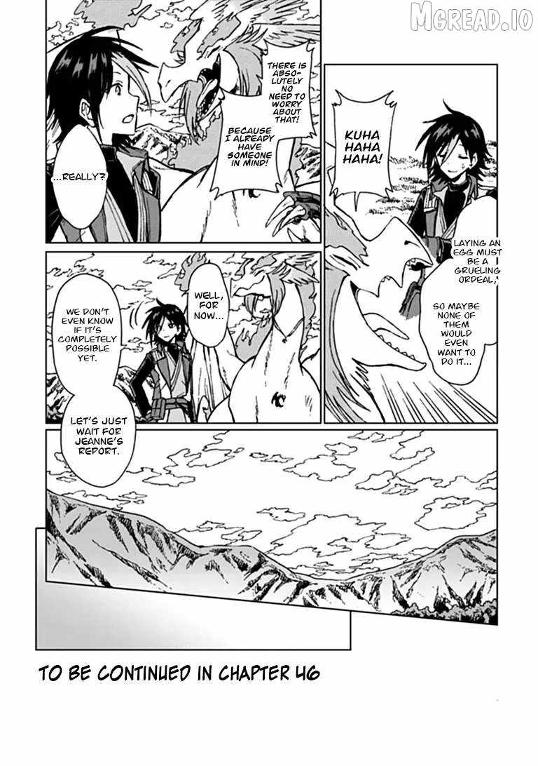 I've Been Kicked Out of an S-Rank Guild. But Only I Can Communicate With Dragons. Before I Knew It, I Became the Greatest Dragon Knight Chapter 45 page 31