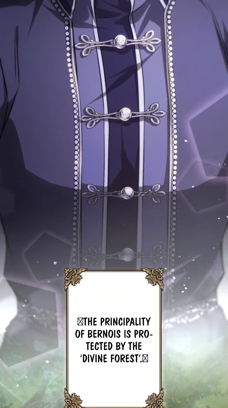 I Was Reincarnated as the Villainess’s Sister Chapter 31 page 47