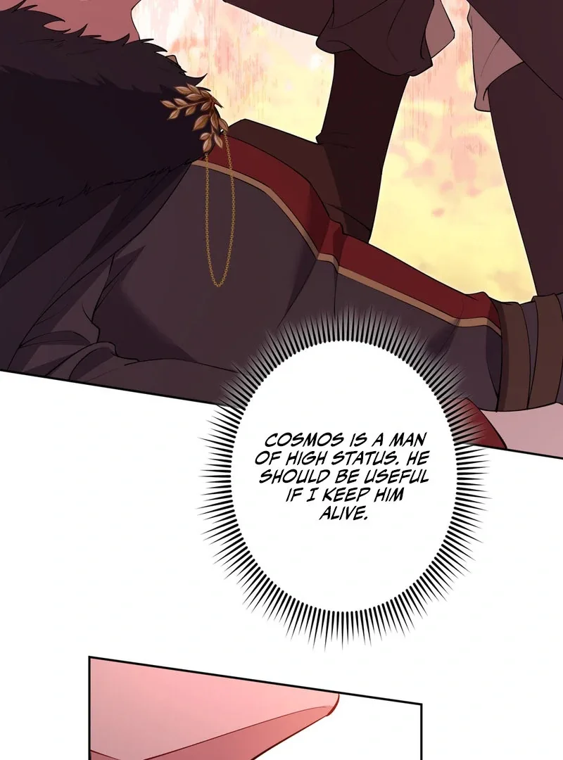 I Will Dedicate My Life To Revenge Chapter 14 page 43