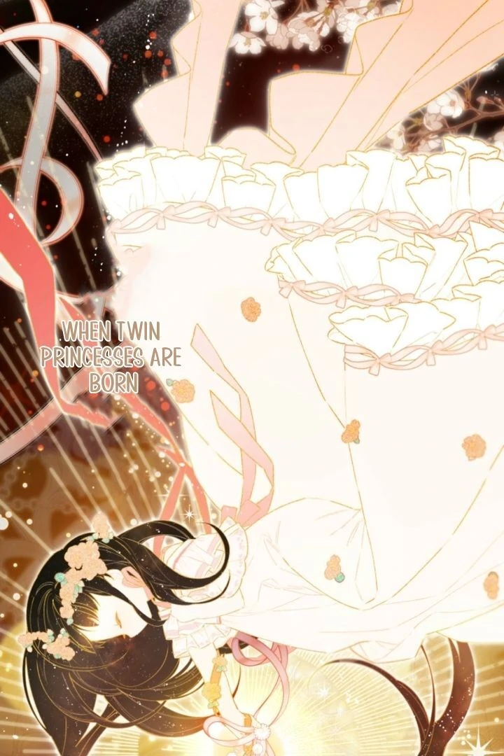 I Will Not be Overshadowed by my Twin Sister in This Life Chapter 2 page 41