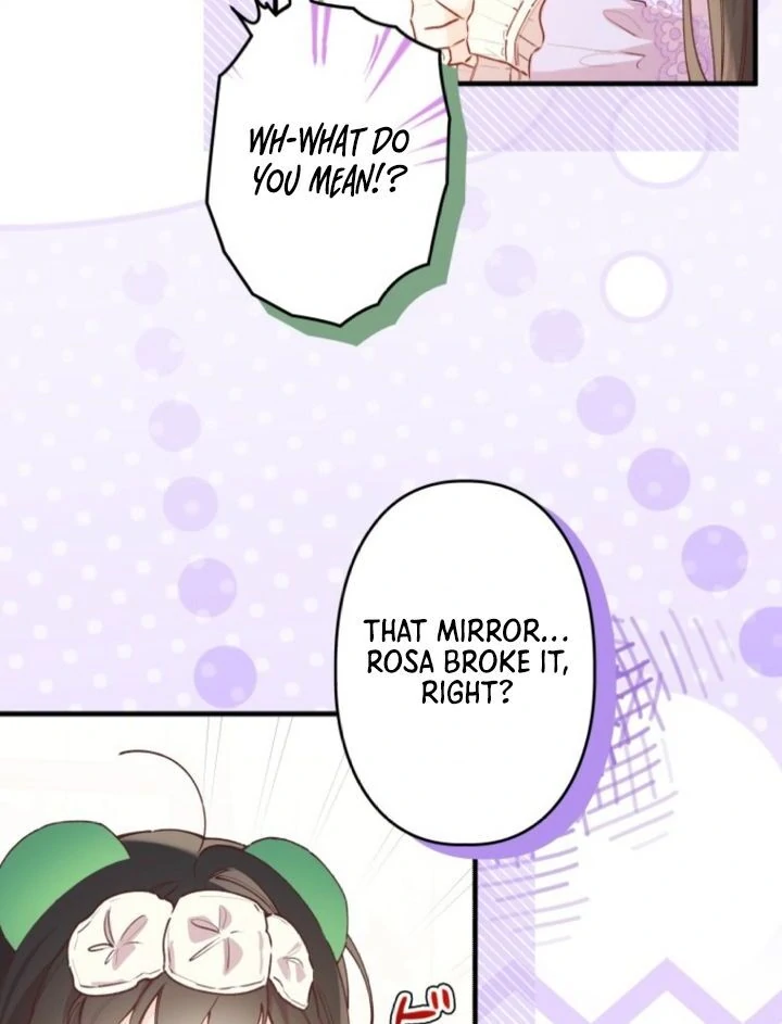 I Will Not be Overshadowed by my Twin Sister in This Life Chapter 5 page 29