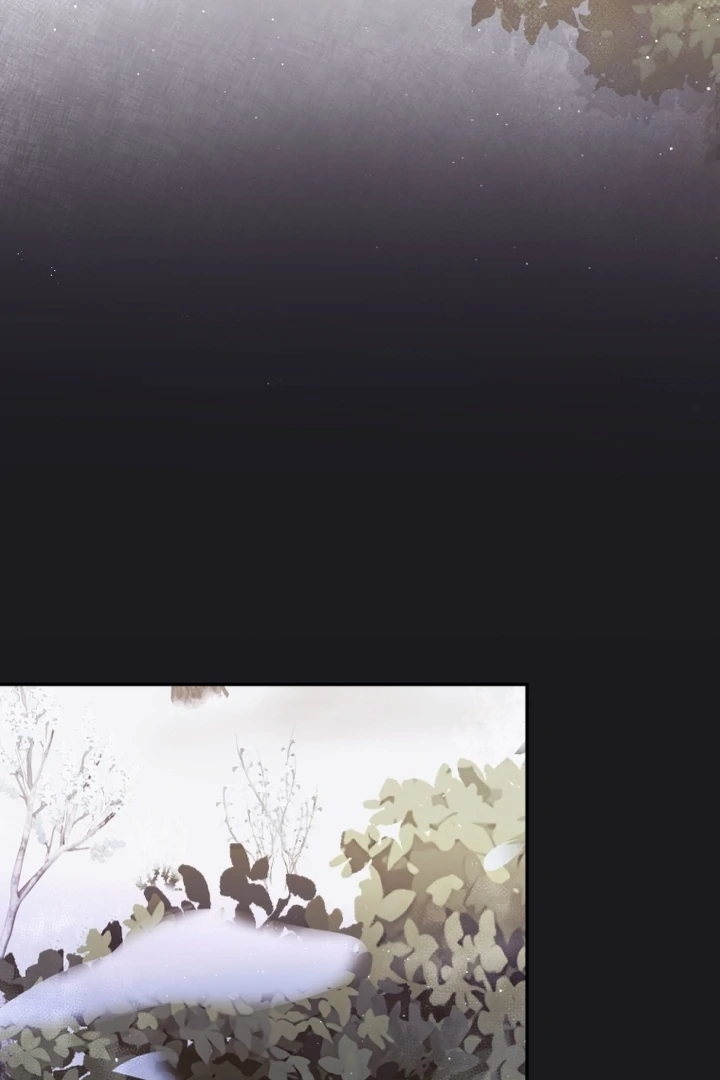 I Will Pay the Price for Deceiving You With My Life Chapter 14 page 67