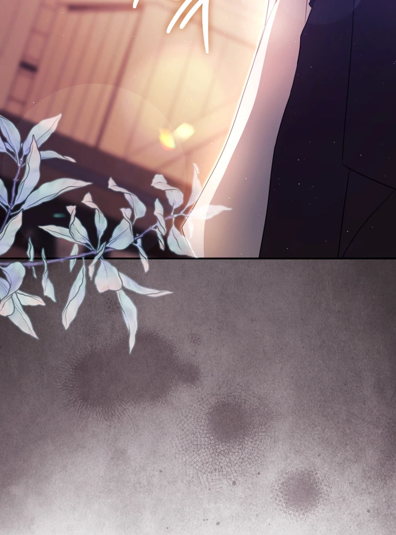 I Will Pay the Price for Deceiving You With My Life Chapter 16 page 8
