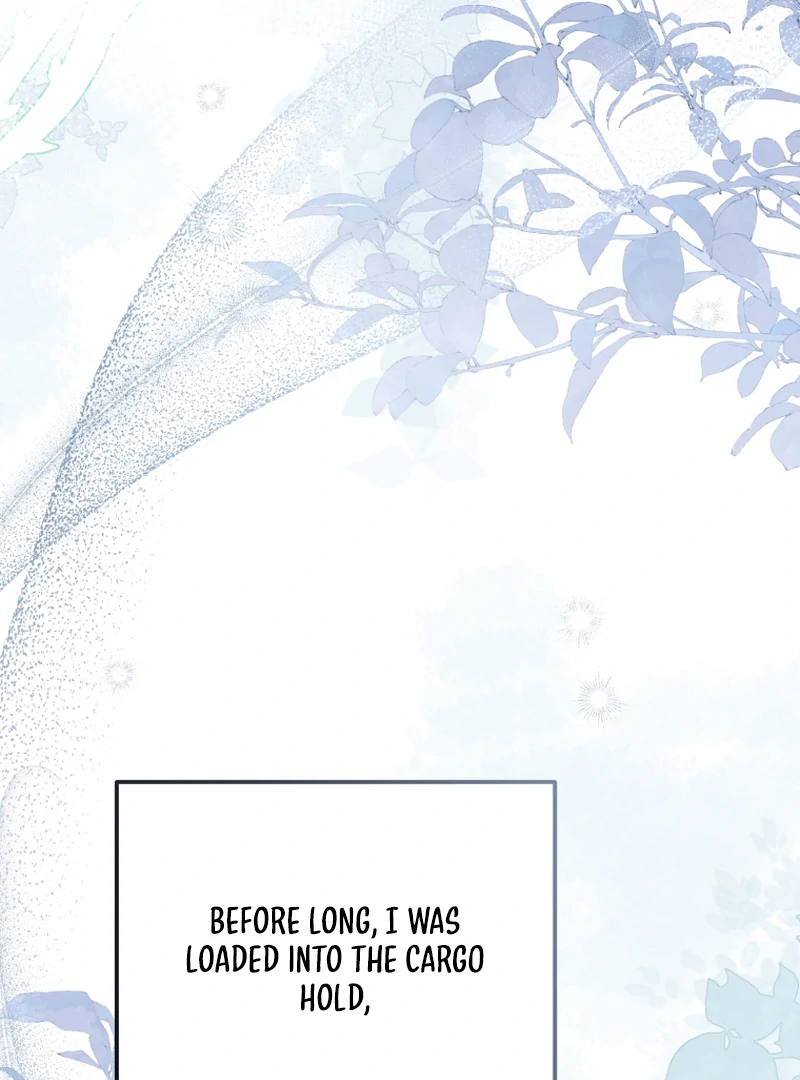 I Will Pay the Price for Deceiving You With My Life Chapter 16 page 4